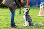 BB-DOG-DISP-img03 - Vacbagdirect